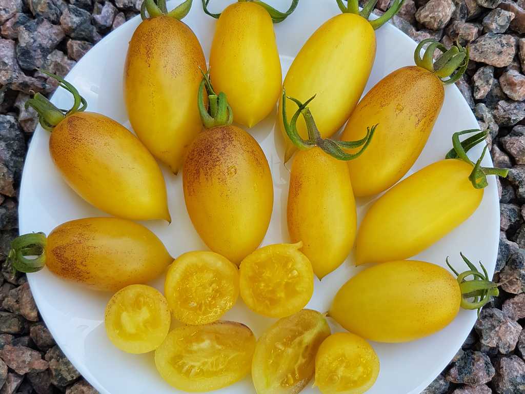 Banana Lemon Singapore